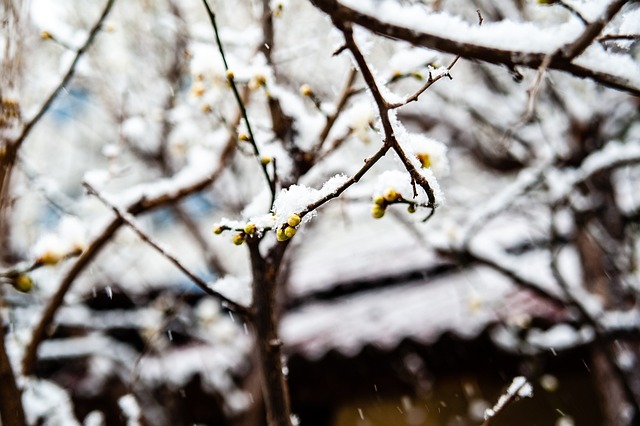 BA圈内关
