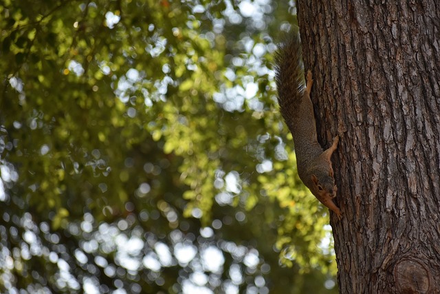初步准备与 初步准备与