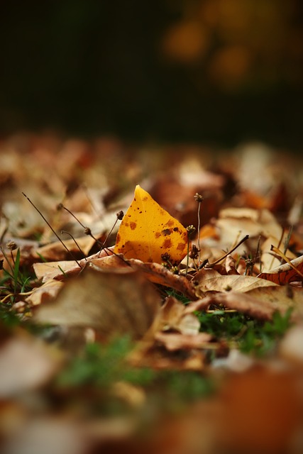 在这个过程 在这个过程