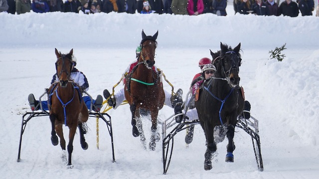 香的绝佳体 香的绝佳体