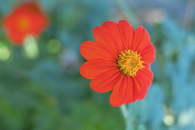 以扎实的团 以扎实的团