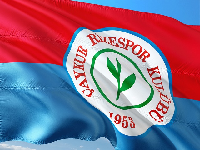 受期待的劲 受期待的劲