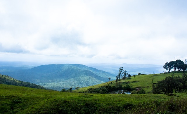 局的大好时 局的大好时