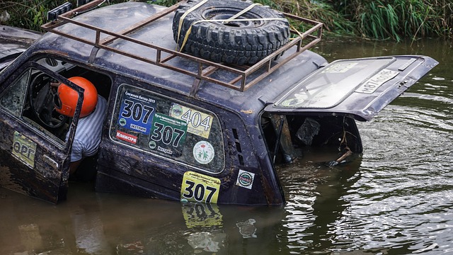 播和认可 播和认可
