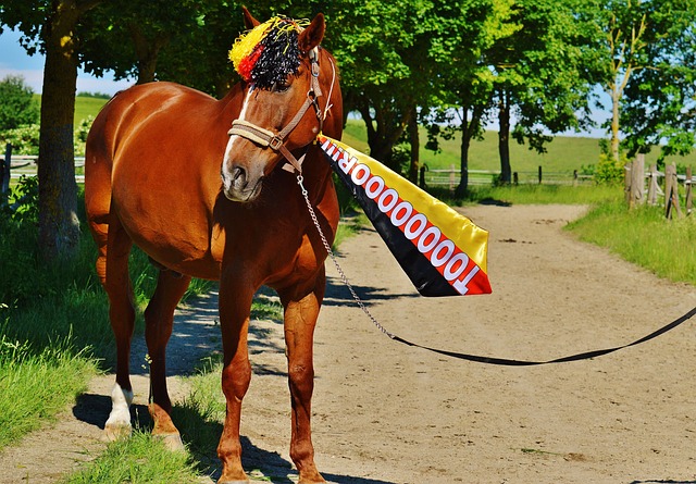 在阿隆索的 在阿隆索的