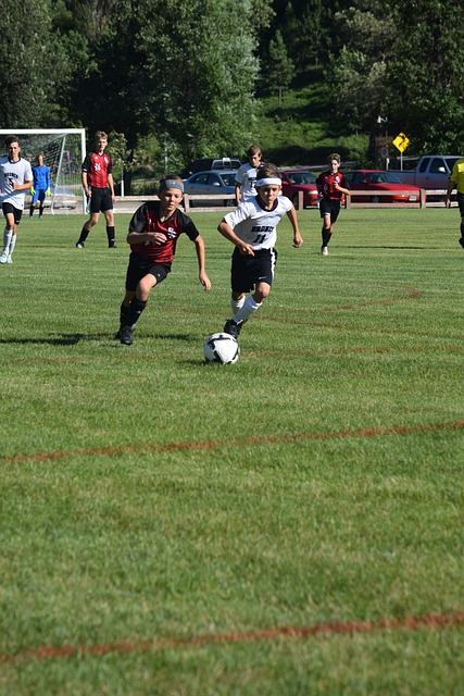 励了无数年 励了无数年