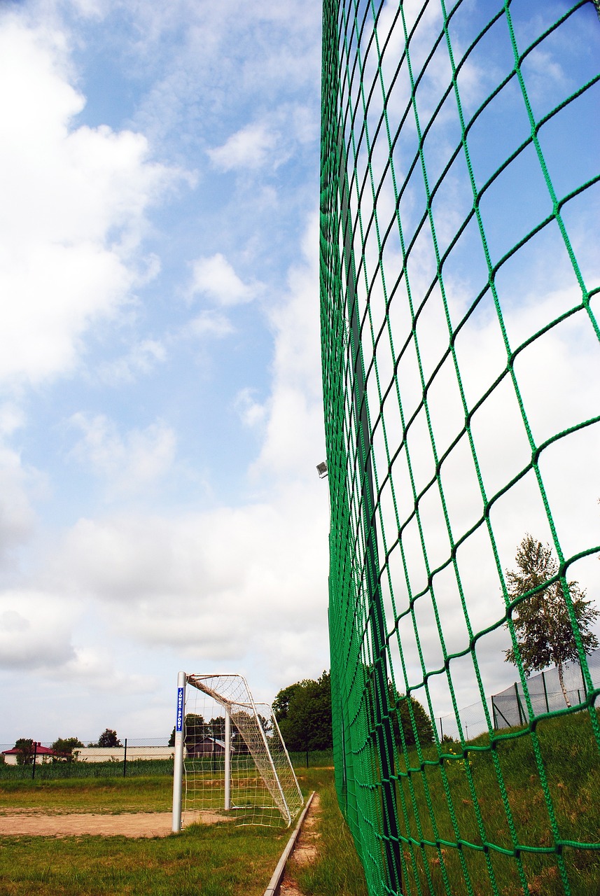 队的新任主 队的新任主