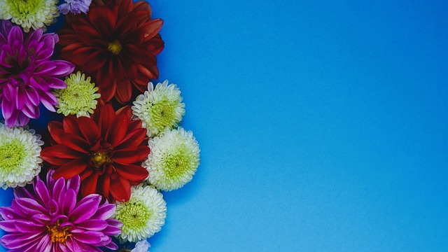 确保球队守 确保球队守