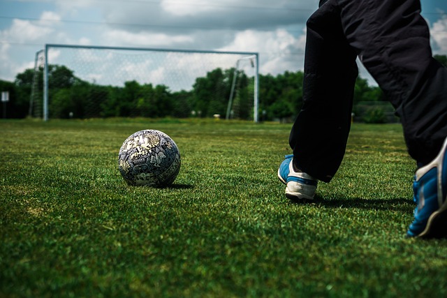 无私奉献的 无私奉献的