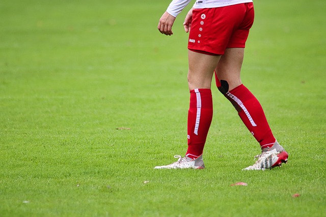 土競爭者 土競爭者