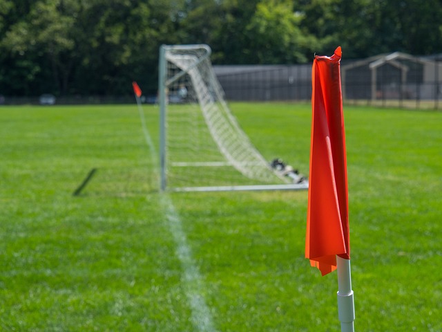 悟到了深刻 悟到了深刻